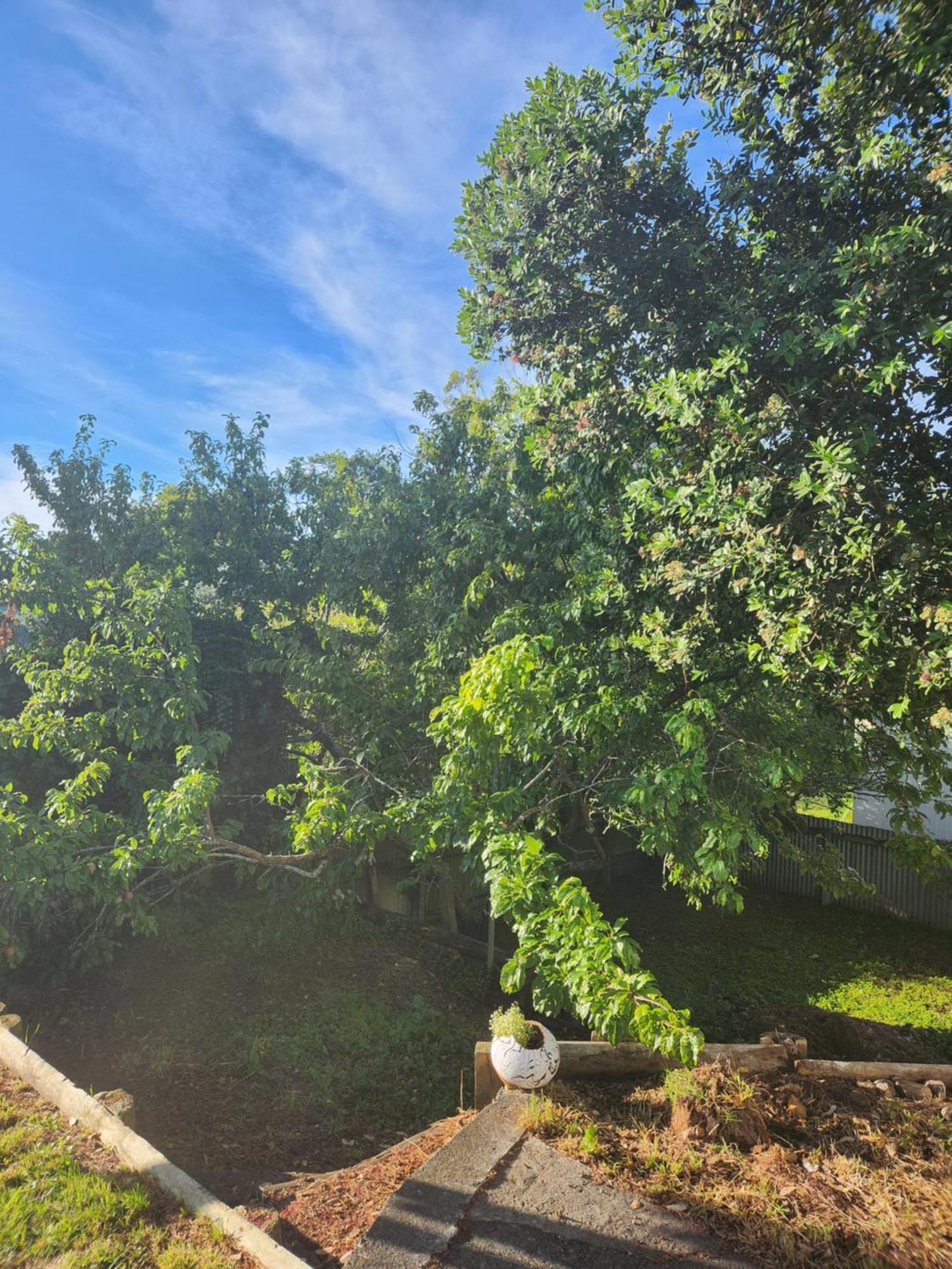 Quirky Villa Homestay Whanganui Eksteriør bilde